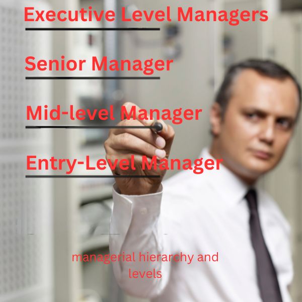 man drawing managerial hierarchy