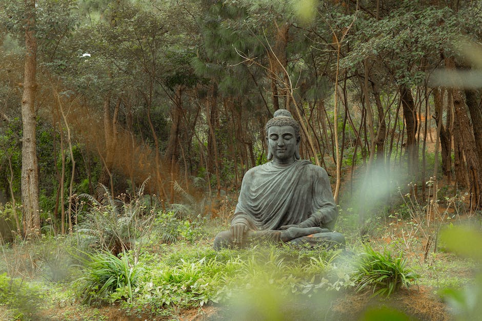 A person meditating peacefully in nature, surrounded by trees and mountains.